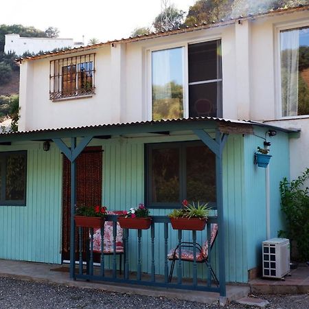 Vegan Guesthouse Finca Pereila Coín Exteriör bild