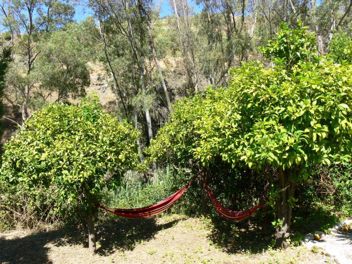 Vegan Guesthouse Finca Pereila Coín Exteriör bild