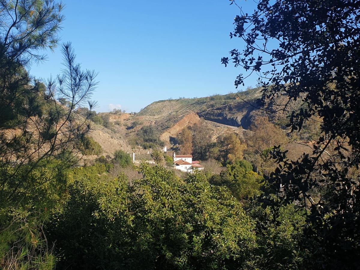 Vegan Guesthouse Finca Pereila Coín Exteriör bild